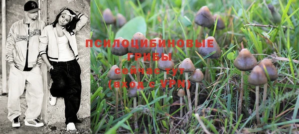 марки nbome Алексеевка