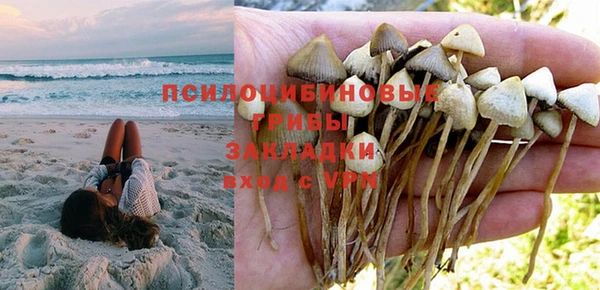 гашик Пересвет