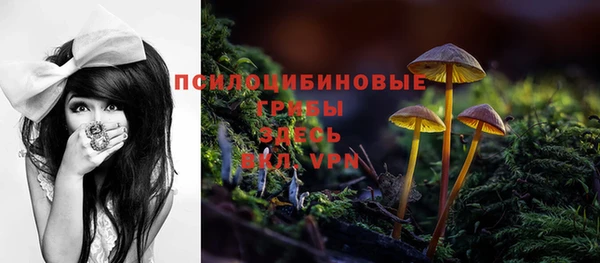гидропоника Алексин