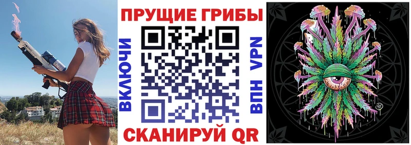 ссылка на мегу как зайти  Касимов  Галлюциногенные грибы прущие грибы 