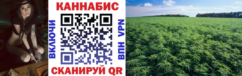 как найти закладки Касимов МАРИХУАНА Ganja